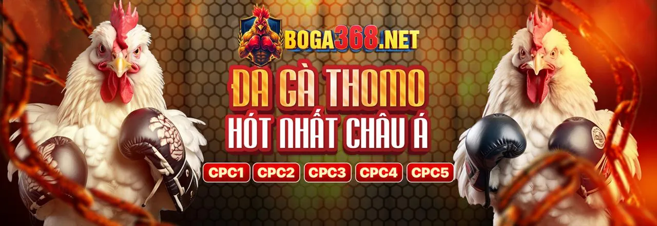 Tối ưu trải nghiệm 98wn65